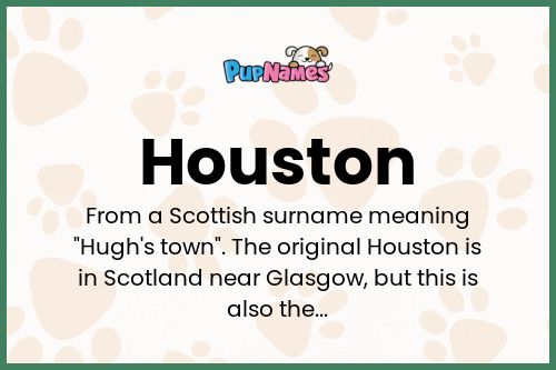 Houston dog name meaning