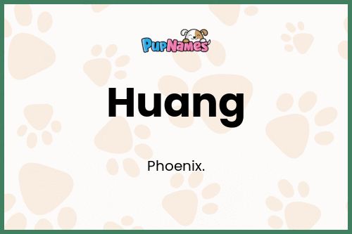 Huang dog name meaning