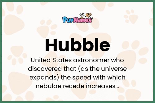 Hubble dog name meaning