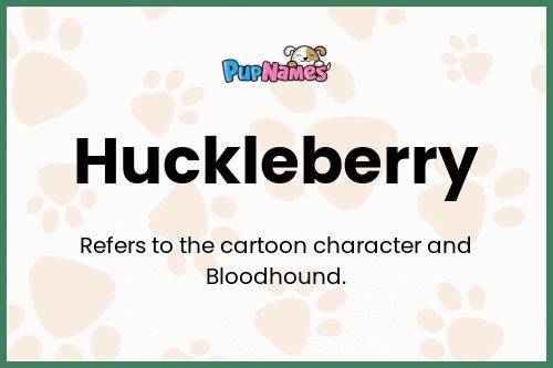 Huckleberry dog name meaning