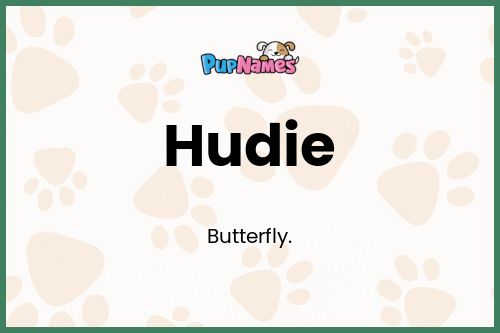 Hudie dog name meaning