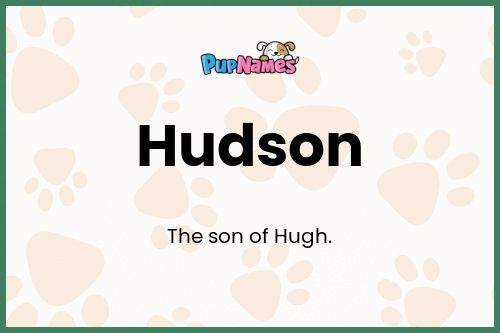 Hudson dog name meaning