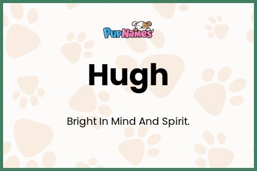 Hugh dog name meaning