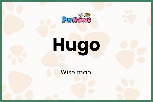 Hugo dog name meaning