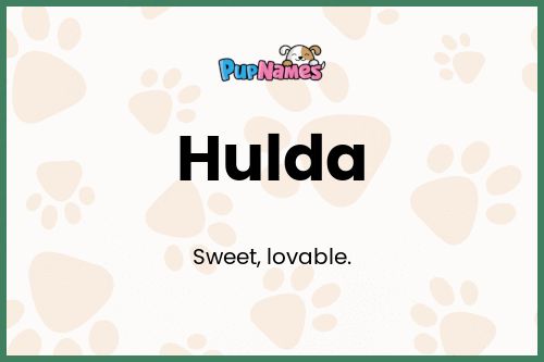 Hulda dog name meaning