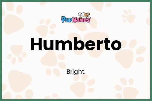 Humberto dog name meaning