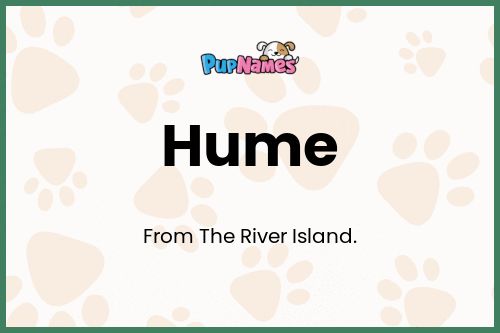 Hume dog name meaning