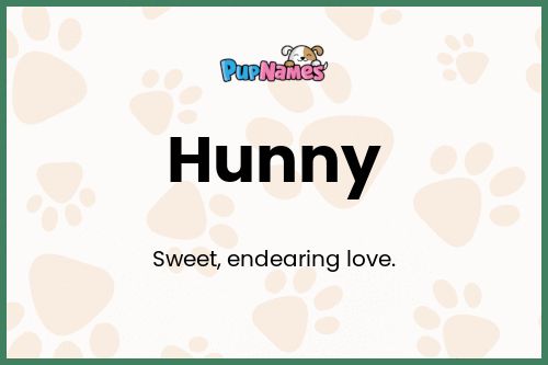 Hunny dog name meaning