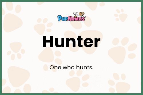 Hunter dog name meaning