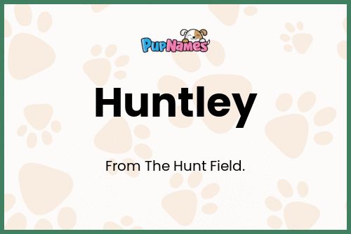 Huntley dog name meaning