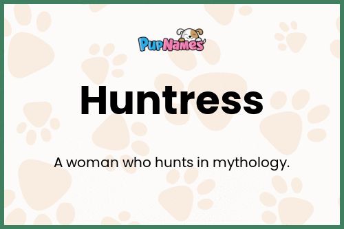 Huntress dog name meaning