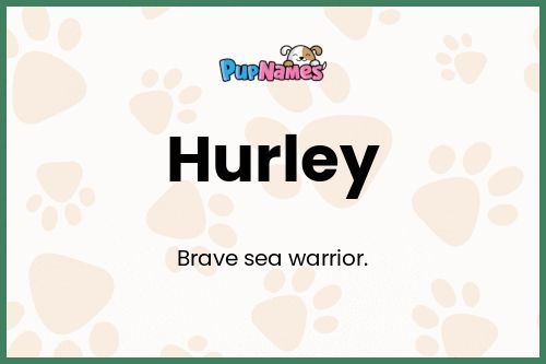 Hurley dog name meaning