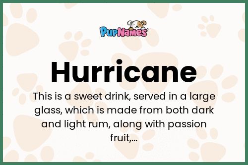 Hurricane dog name meaning