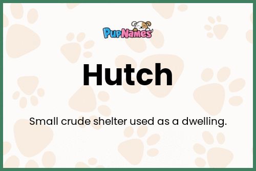 Hutch dog name meaning