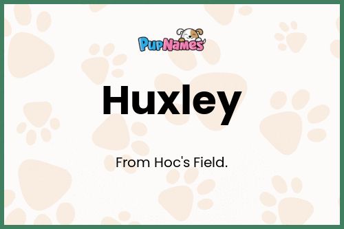 Huxley dog name meaning