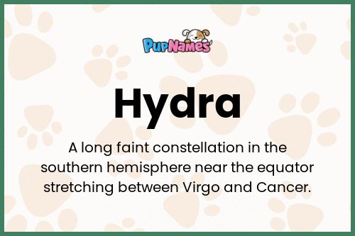 Hydra dog name meaning