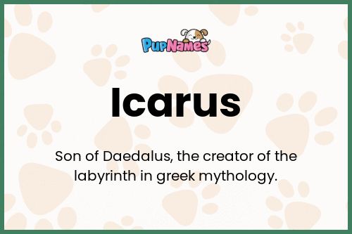 Icarus dog name meaning