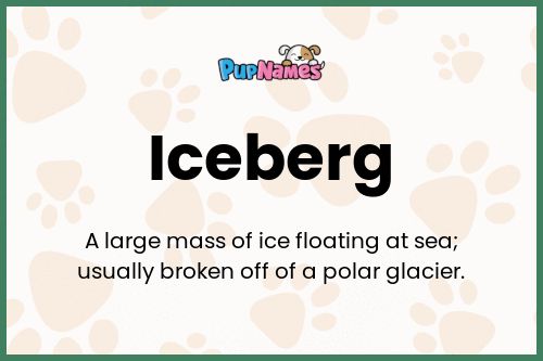 Iceberg dog name meaning