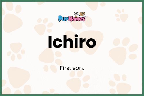 Ichiro dog name meaning