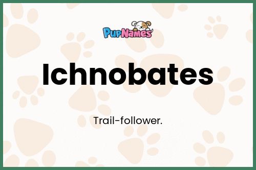 Ichnobates dog name meaning