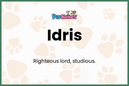 Idris dog name meaning