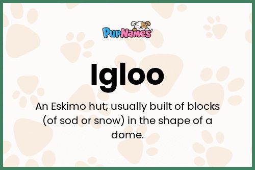 Igloo dog name meaning