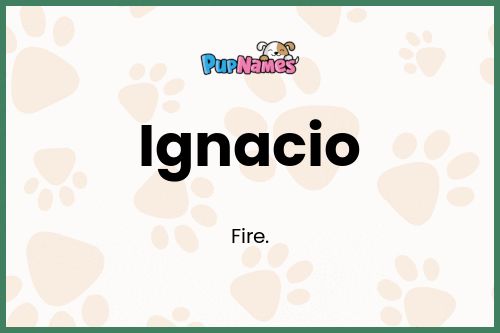 Ignacio dog name meaning