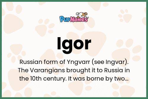 Igor dog name meaning