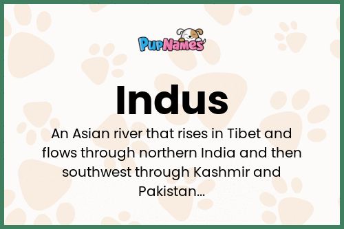 Indus dog name meaning