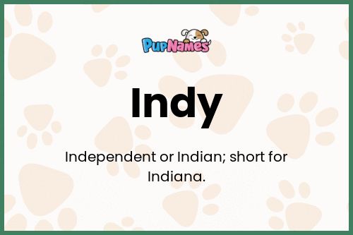 Indy dog name meaning