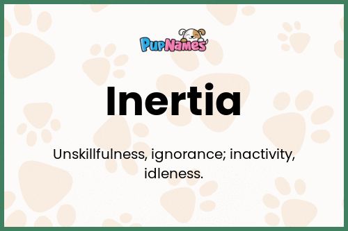 Inertia dog name meaning