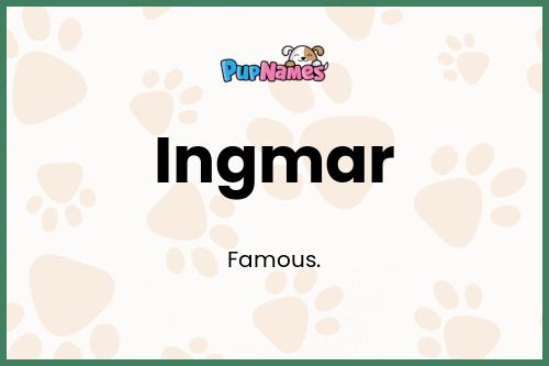 Ingmar dog name meaning