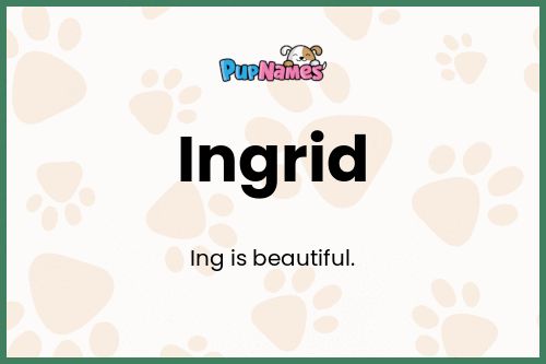 Ingrid dog name meaning