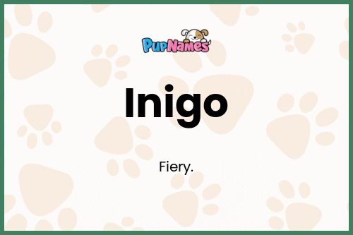 Inigo dog name meaning