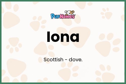 Iona dog name meaning