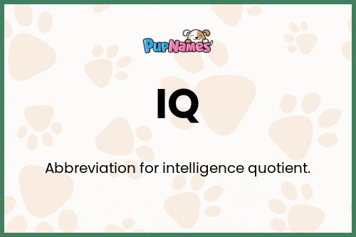 IQ dog name meaning