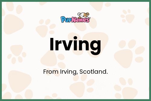 Irving dog name meaning