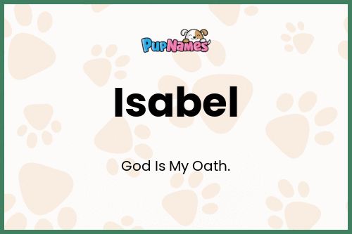 Isabel dog name meaning