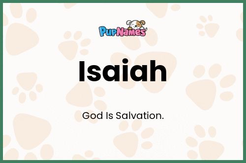 Isaiah dog name meaning