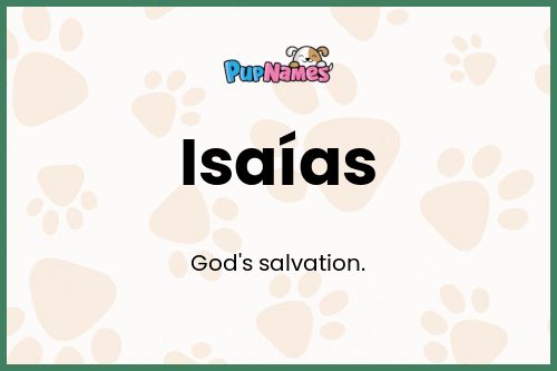 Isaías dog name meaning