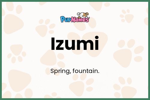 Izumi dog name meaning