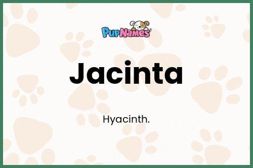 Jacinta dog name meaning