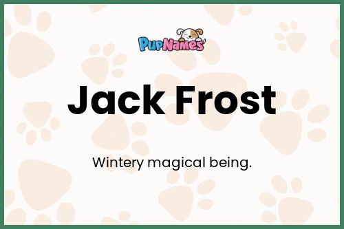 Jack Frost dog name meaning