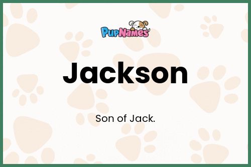 Jackson dog name meaning