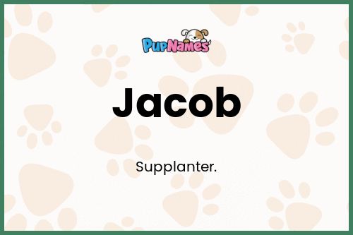 Jacob dog name meaning