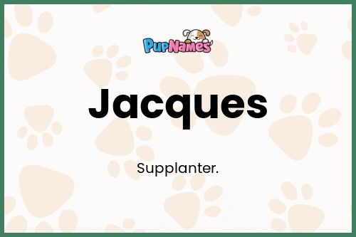 Jacques dog name meaning