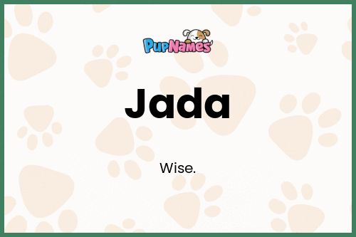 Jada dog name meaning