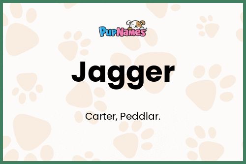 Jagger dog name meaning