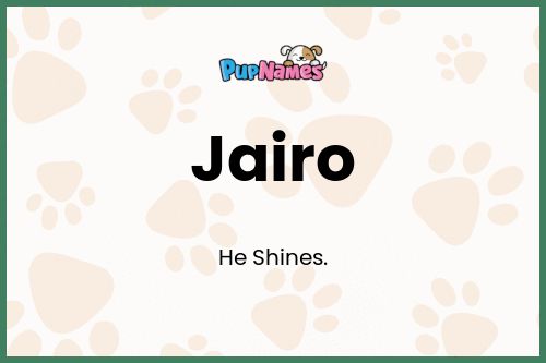 Jairo dog name meaning
