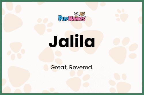 Jalila dog name meaning